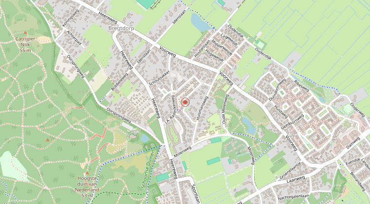 Kaart van de omgeving van de melding