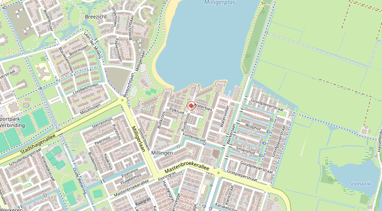 Kaart van de omgeving van de melding