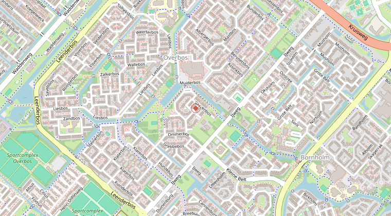 Kaart van de omgeving van de melding