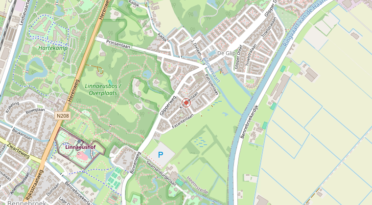 Kaart van de omgeving van de melding