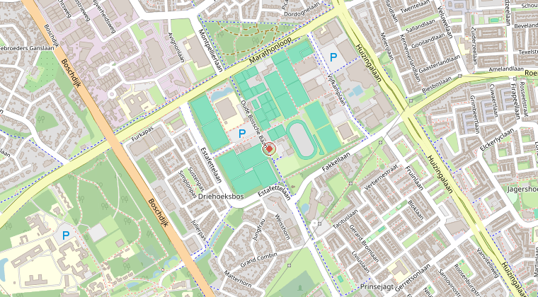 Kaart van de omgeving van de melding
