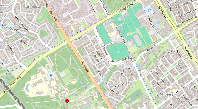 Kaart van de omgeving van de melding
