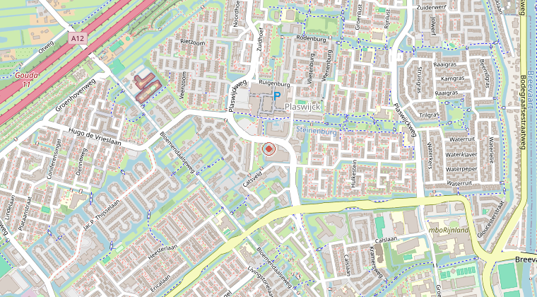 Kaart van de omgeving van de melding