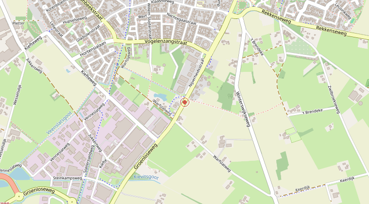 Kaart van de omgeving van de melding