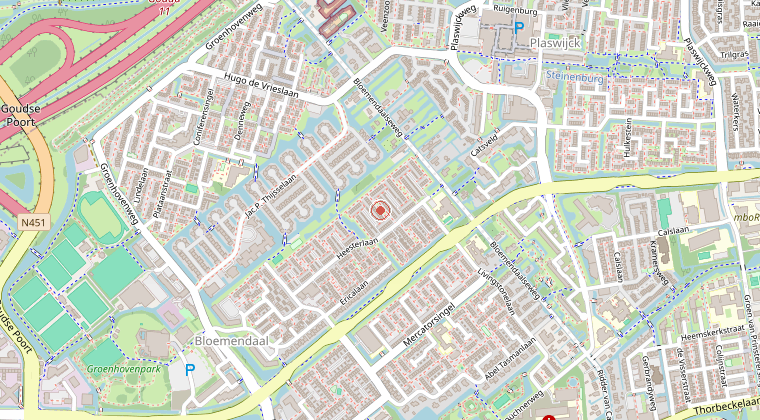 Kaart van de omgeving van de melding