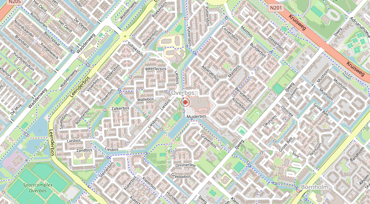 Kaart van de omgeving van de melding