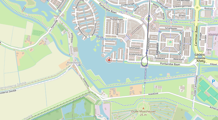Kaart van de omgeving van de melding