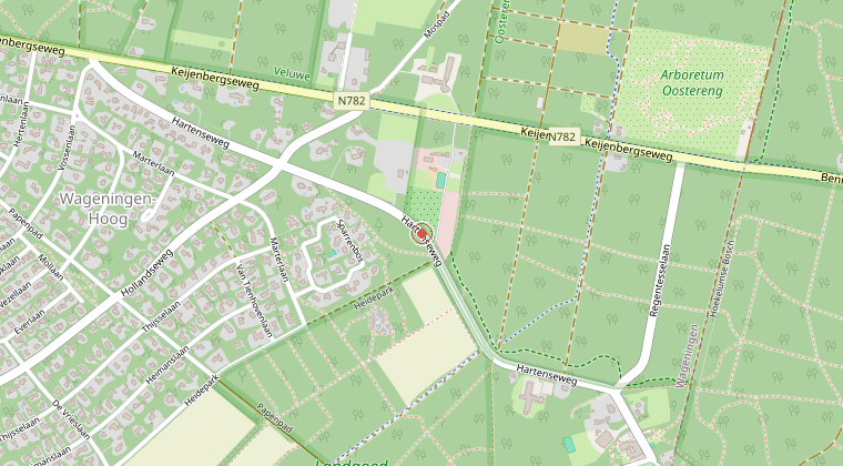 Kaart van de omgeving van de melding