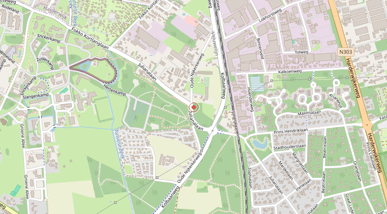 Kaart van de omgeving van de melding