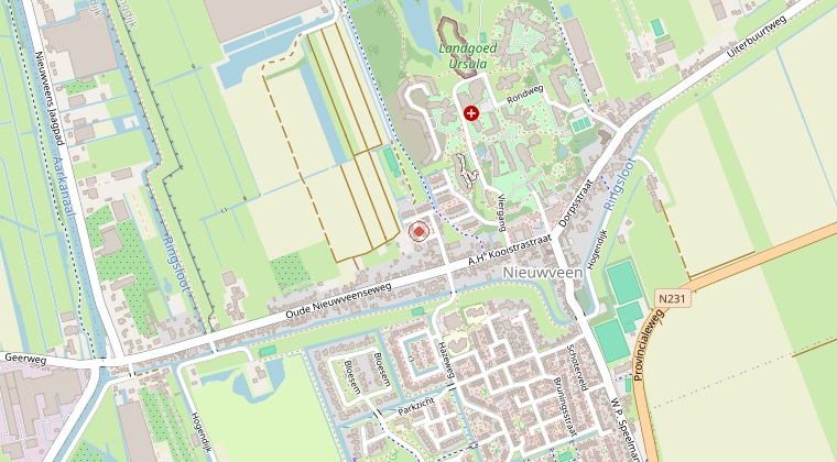 Kaart van de omgeving van de melding