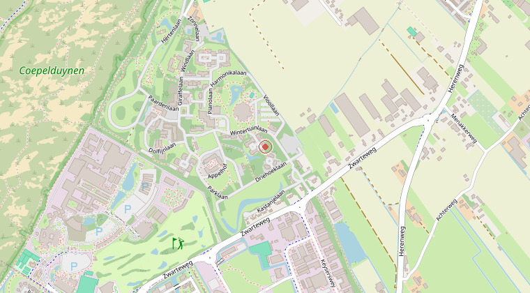 Kaart van de omgeving van de melding
